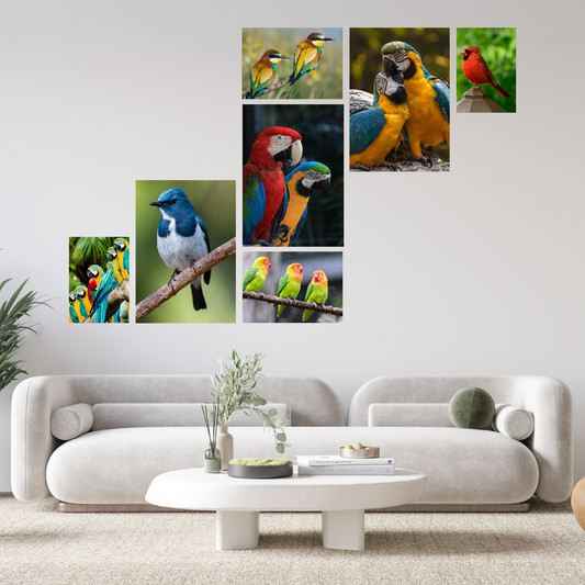 Sleek 7 Piece Canvas Combo