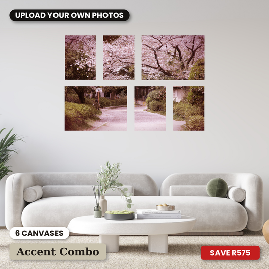 Small 6 Piece Accent Canvas Combo