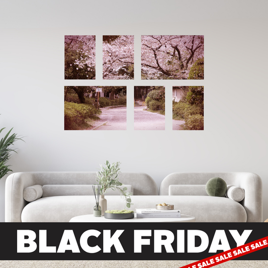 Black Friday Small 6 Piece Canvas Combo