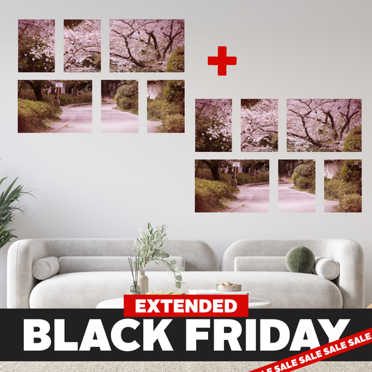 Black Friday Double Up Deal Small 6 Piece Canvas Combo