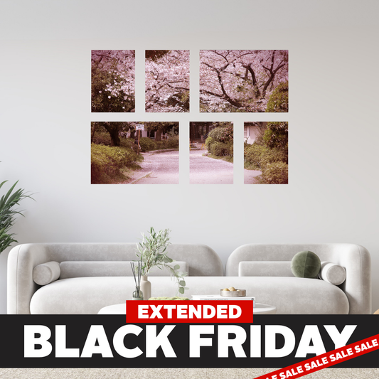 Black Friday Small 6 Piece Canvas Combo