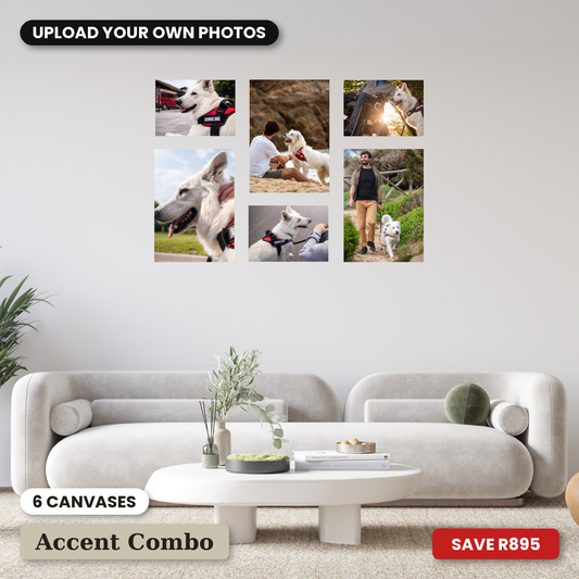 Small 6 Piece Puzzle Accent Canvas Combo