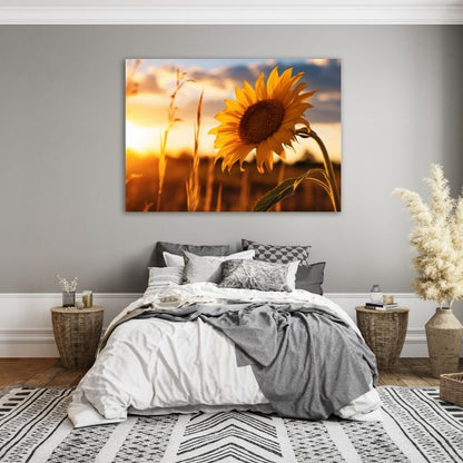 Sunflower in Sunset Pre-Printed Canvas