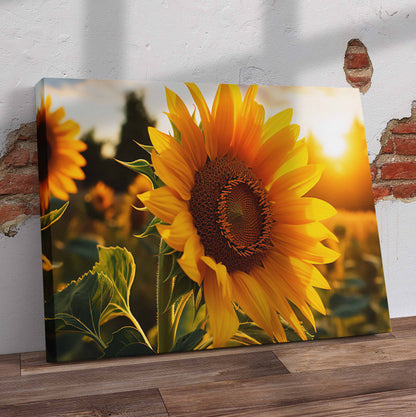 Sunflower in the Sun Pre-Printed Canvas