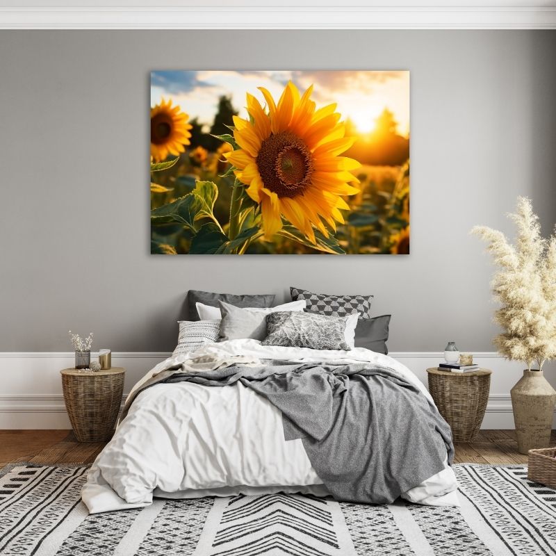 Sunflower in the Sun Pre-Printed Canvas