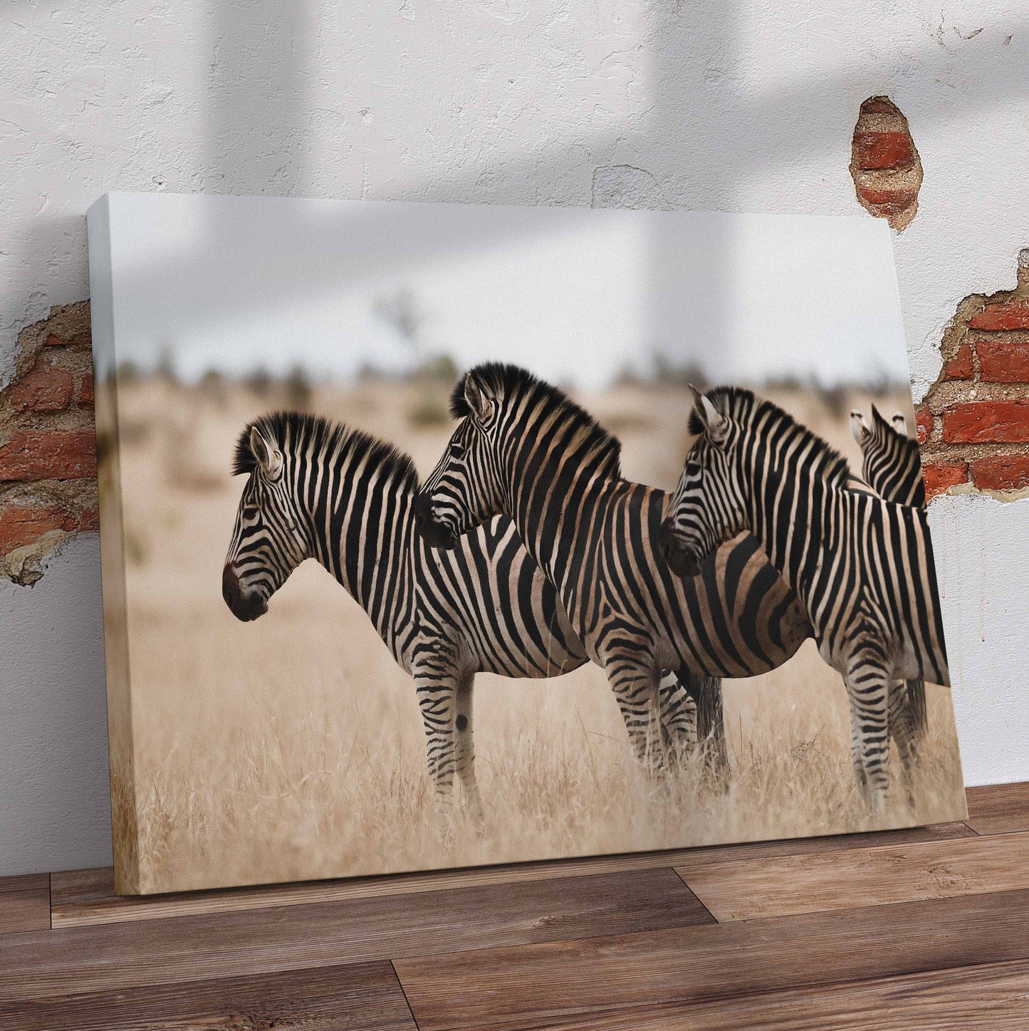 Three Zebras Pre-Printed Canvas