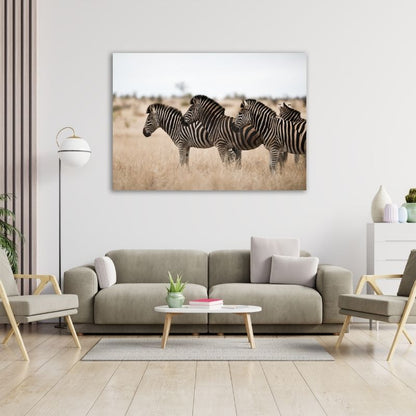 Three Zebras Pre-Printed Canvas