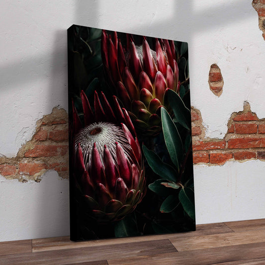 Two Dark Proteas Pre-Printed Canvas