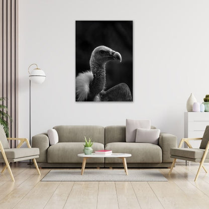 Vulture Pre-Printed Canvas