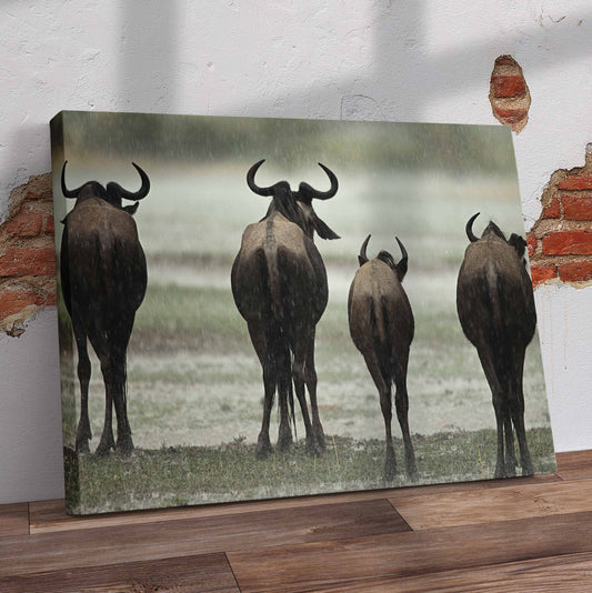 Wildebeest from back Pre-Printed Canvas