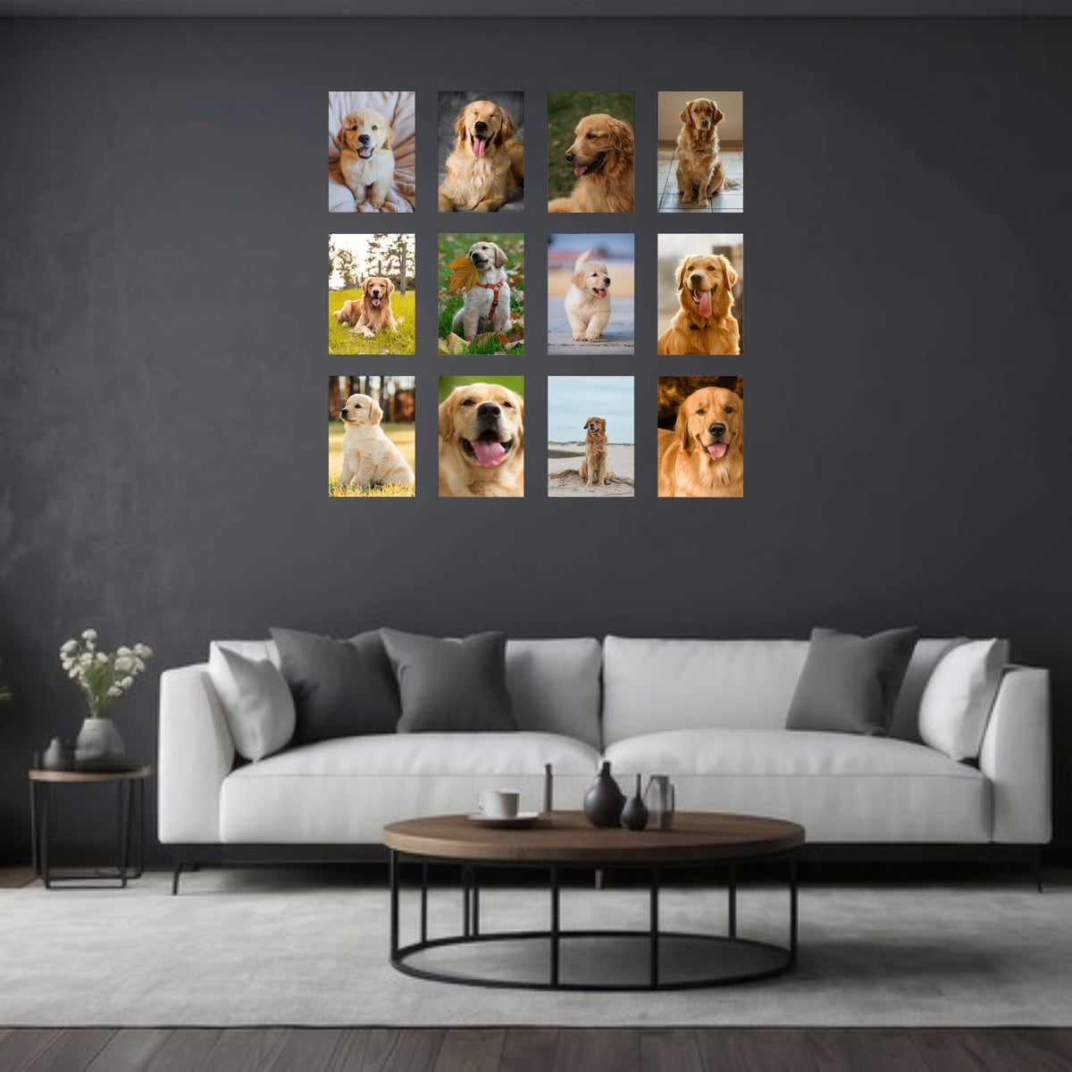 12 x A5 Feature Canvas Combo