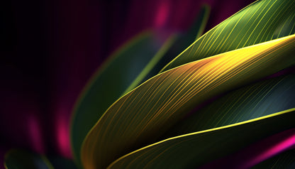 Colourful Flower with Yellow Stripe Wallpaper