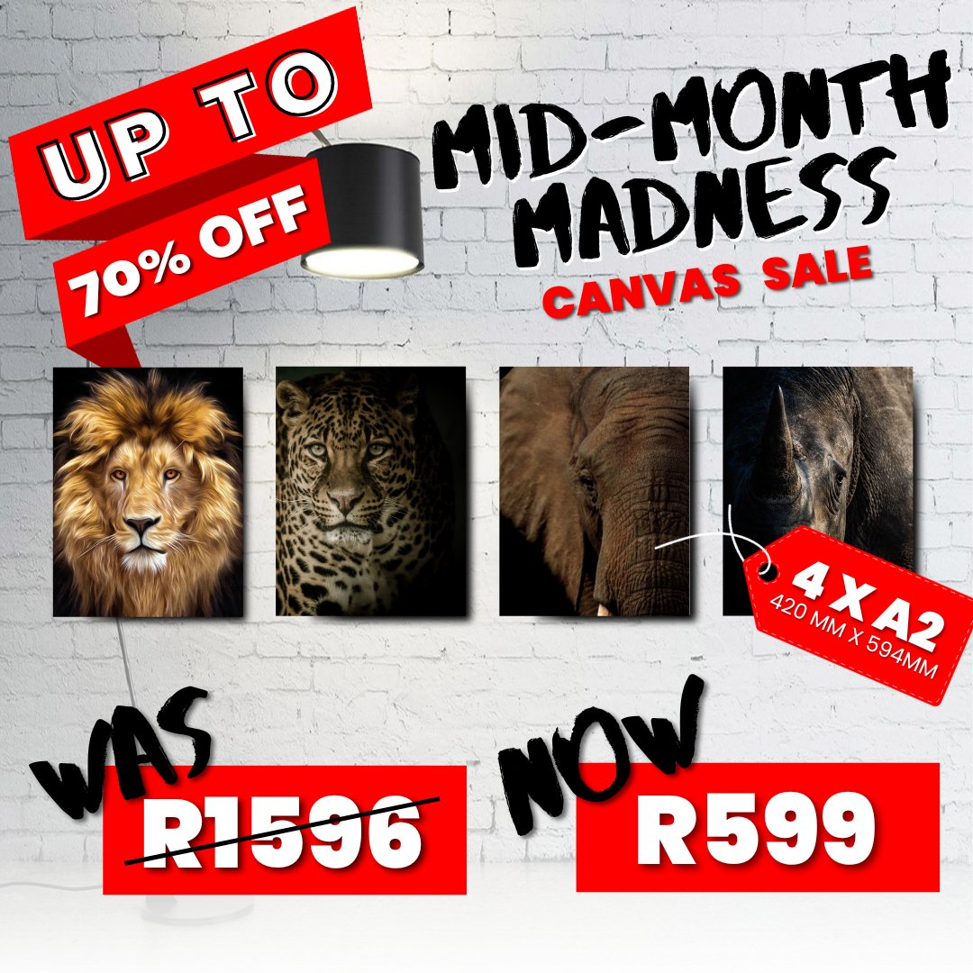 4 x A2 Canvas Mid Month Madness Deal - Canvas and Gifts