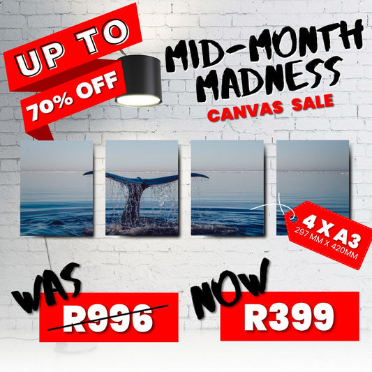 4 x A3 Canvas Mid Month Madness Deal - Canvas and Gifts