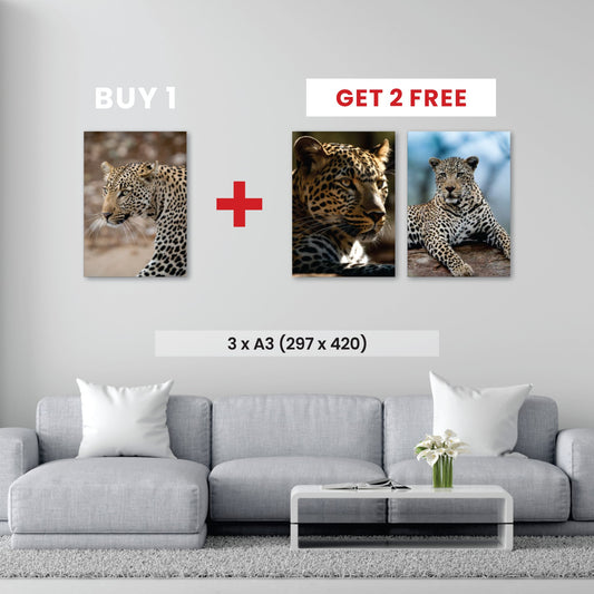 A3 - Buy 1, Get 2 FREE Canvas Deal - Canvas and Gifts