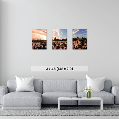 A5 Triple Canvas Combo - Canvas and Gifts