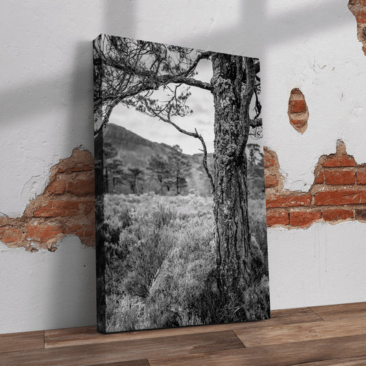 Bushveld Tree Pre-Printed Canvas - Canvas and Gifts