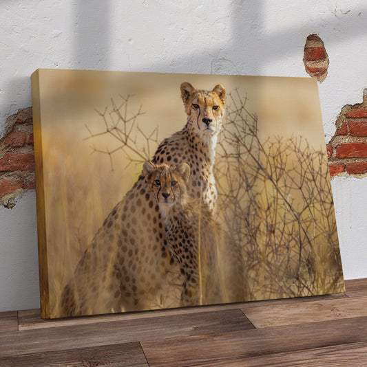 Cheetah With Cub Pre-Printed Canvas - Canvas and Gifts