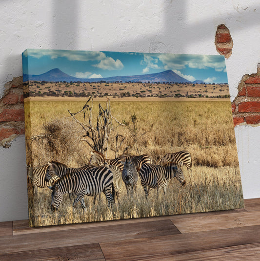 Grazing Zebra Pre-Printed Canvas - Canvas and Gifts