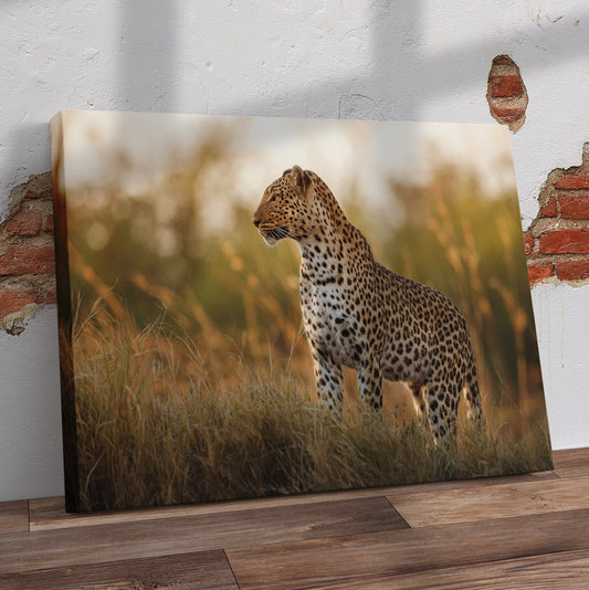 Leopard Pre-Printed Canvas - Canvas and Gifts