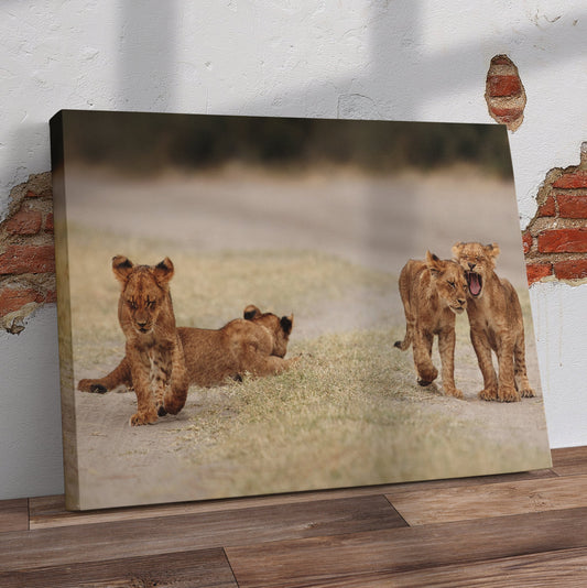 Lion Cubs Pre-Printed Canvas - Canvas and Gifts
