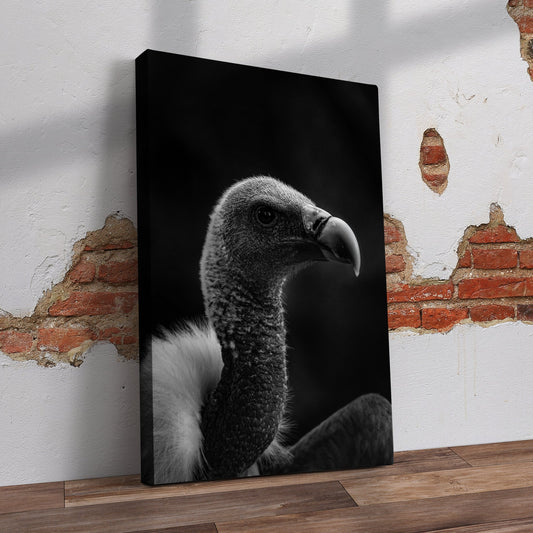 Valture Pre-Printed Canvas - Canvas and Gifts