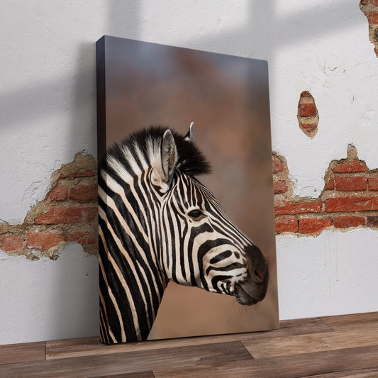 Zebra Closeup Pre-Printed Canvas - Canvas and Gifts